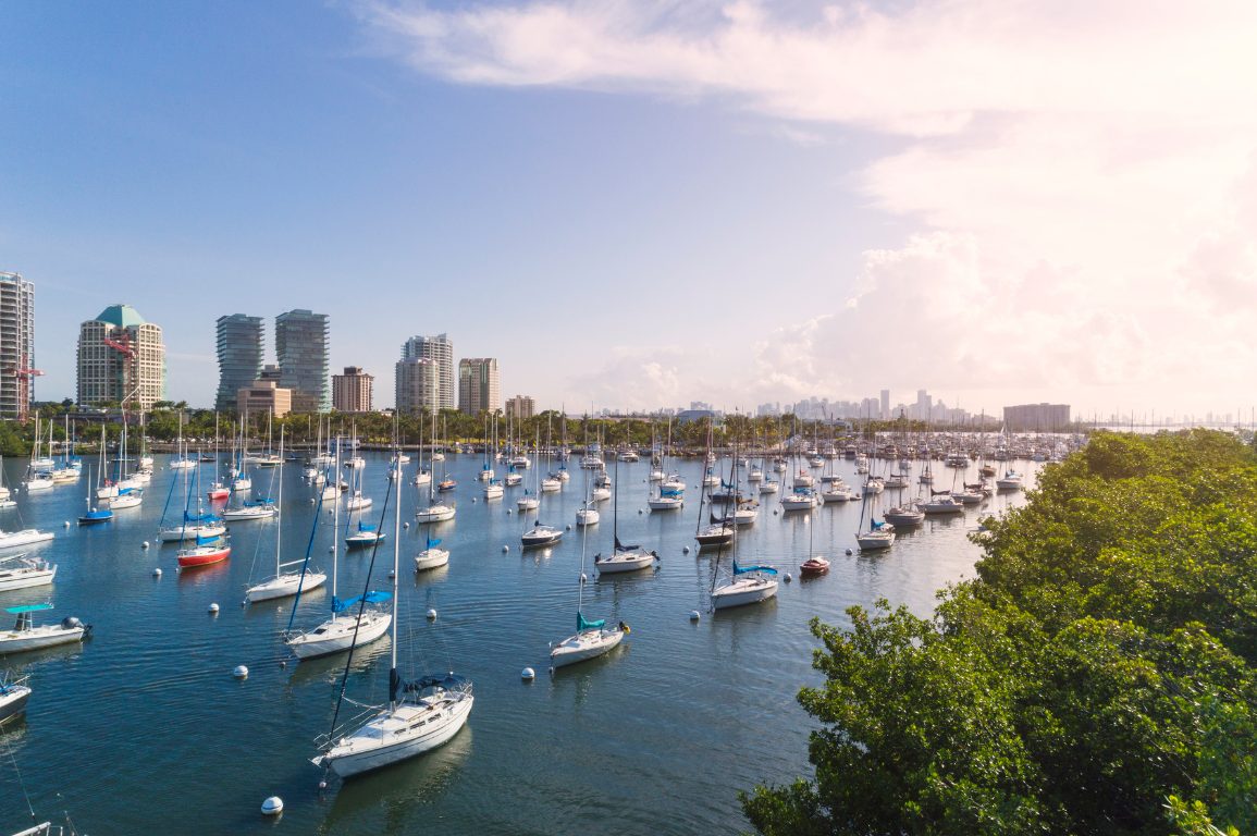 coconut grove